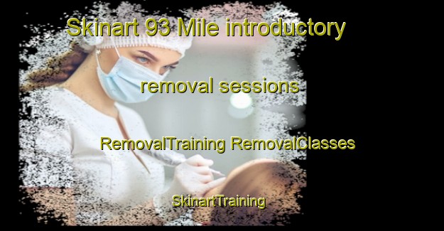 Skinart 93 Mile introductory removal sessions | #RemovalTraining #RemovalClasses #SkinartTraining-Canada