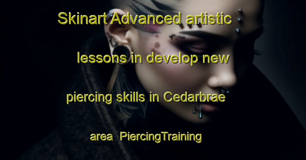 Skinart Advanced artistic lessons in develop new piercing skills in Cedarbrae area | PiercingTraining | PiercingClasses | SkinartTraining-Canada