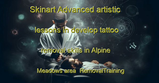 Skinart Advanced artistic lessons in develop tattoo removal skills in Alpine Meadows area | RemovalTraining | RemovalClasses | SkinartTraining-Canada