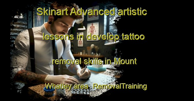 Skinart Advanced artistic lessons in develop tattoo removal skills in Mount Whatley area | RemovalTraining | RemovalClasses | SkinartTraining-Canada