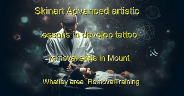 Skinart Advanced artistic lessons in develop tattoo removal skills in Mount Whatley area | RemovalTraining | RemovalClasses | SkinartTraining-Canada