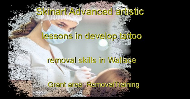 Skinart Advanced artistic lessons in develop tattoo removal skills in Wallace Grant area | RemovalTraining | RemovalClasses | SkinartTraining-Canada