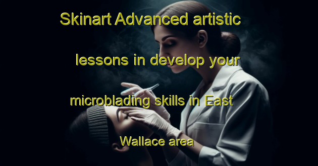 Skinart Advanced artistic lessons in develop your microblading skills in East Wallace area | MicrobladingTraining | MicrobladingClasses | SkinartTraining-Canada