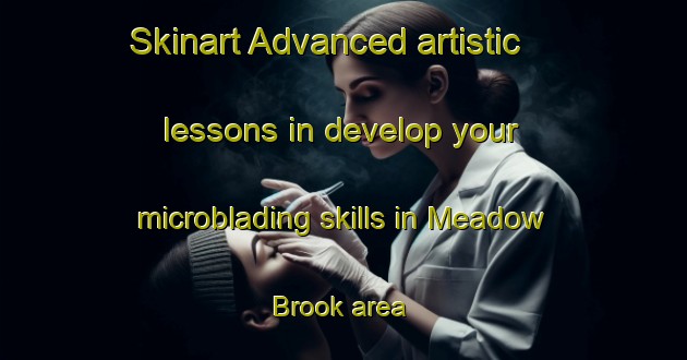 Skinart Advanced artistic lessons in develop your microblading skills in Meadow Brook area | MicrobladingTraining | MicrobladingClasses | SkinartTraining-Canada