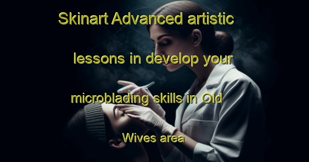 Skinart Advanced artistic lessons in develop your microblading skills in Old Wives area | MicrobladingTraining | MicrobladingClasses | SkinartTraining-Canada