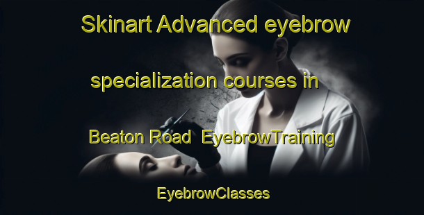 Skinart Advanced eyebrow specialization courses in Beaton Road | EyebrowTraining | EyebrowClasses | SkinartTraining-Canada