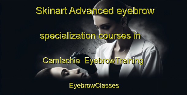Skinart Advanced eyebrow specialization courses in Camlachie | EyebrowTraining | EyebrowClasses | SkinartTraining-Canada