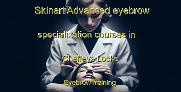 Skinart Advanced eyebrow specialization courses in Chaffeys Locks | EyebrowTraining | EyebrowClasses | SkinartTraining-Canada