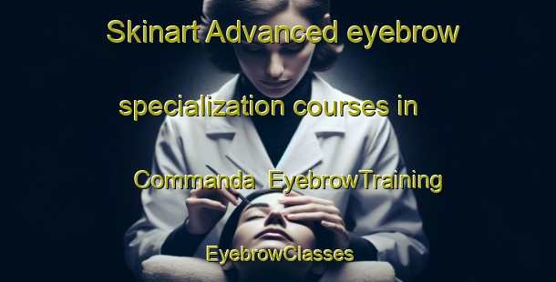 Skinart Advanced eyebrow specialization courses in Commanda | EyebrowTraining | EyebrowClasses | SkinartTraining-Canada