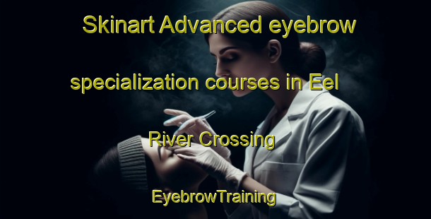 Skinart Advanced eyebrow specialization courses in Eel River Crossing | EyebrowTraining | EyebrowClasses | SkinartTraining-Canada