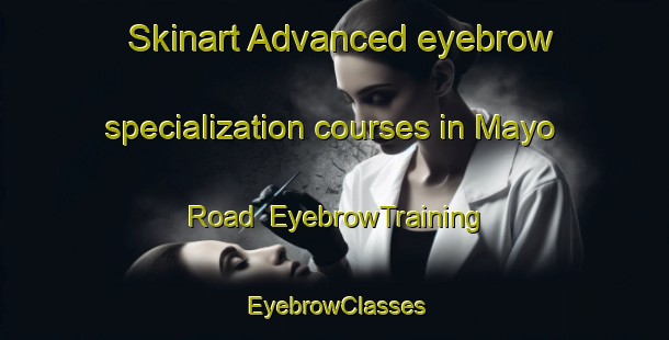 Skinart Advanced eyebrow specialization courses in Mayo Road | EyebrowTraining | EyebrowClasses | SkinartTraining-Canada