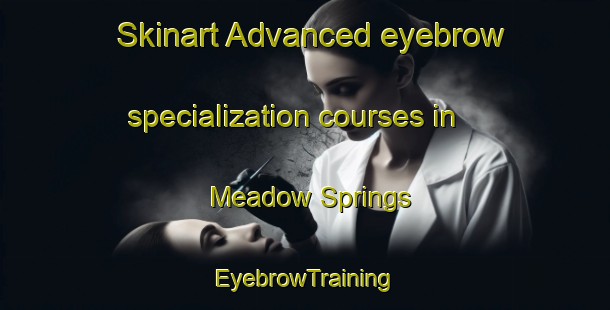 Skinart Advanced eyebrow specialization courses in Meadow Springs | EyebrowTraining | EyebrowClasses | SkinartTraining-Canada