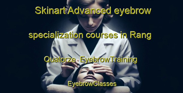 Skinart Advanced eyebrow specialization courses in Rang Quatorze | EyebrowTraining | EyebrowClasses | SkinartTraining-Canada