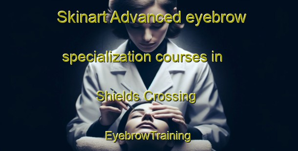 Skinart Advanced eyebrow specialization courses in Shields Crossing | EyebrowTraining | EyebrowClasses | SkinartTraining-Canada