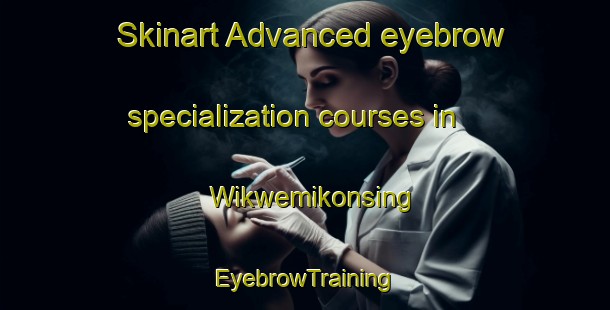 Skinart Advanced eyebrow specialization courses in Wikwemikonsing | EyebrowTraining | EyebrowClasses | SkinartTraining-Canada