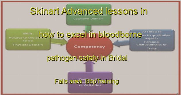 Skinart Advanced lessons in how to excel in bloodborne pathogen safety in Bridal Falls area | BbpTraining | BbpClasses | SkinartTraining-Canada