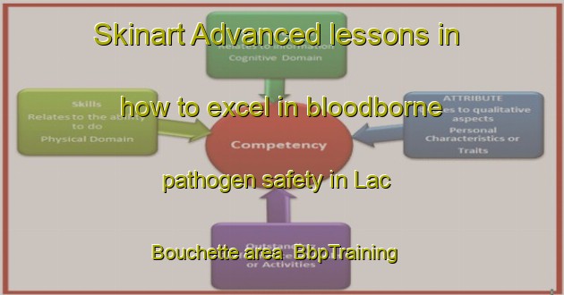 Skinart Advanced lessons in how to excel in bloodborne pathogen safety in Lac Bouchette area | BbpTraining | BbpClasses | SkinartTraining-Canada