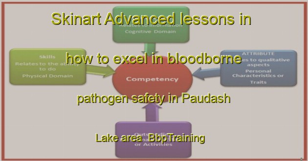 Skinart Advanced lessons in how to excel in bloodborne pathogen safety in Paudash Lake area | BbpTraining | BbpClasses | SkinartTraining-Canada