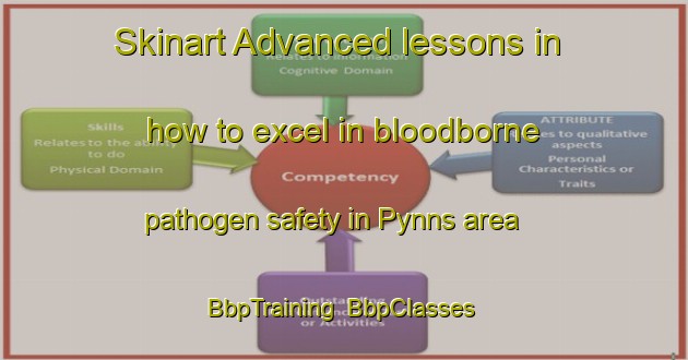 Skinart Advanced lessons in how to excel in bloodborne pathogen safety in Pynns area | BbpTraining | BbpClasses | SkinartTraining-Canada