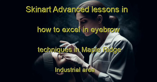 Skinart Advanced lessons in how to excel in eyebrow techniques in Maple Ridge Industrial area | EyebrowTraining | EyebrowClasses | SkinartTraining-Canada