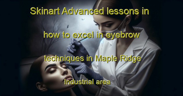 Skinart Advanced lessons in how to excel in eyebrow techniques in Maple Ridge Industrial area | EyebrowTraining | EyebrowClasses | SkinartTraining-Canada