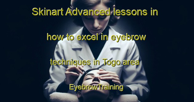 Skinart Advanced lessons in how to excel in eyebrow techniques in Togo area | EyebrowTraining | EyebrowClasses | SkinartTraining-Canada