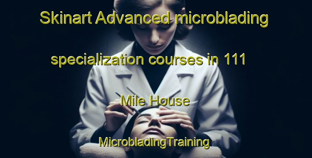 Skinart Advanced microblading specialization courses in 111 Mile House | #MicrobladingTraining #MicrobladingClasses #SkinartTraining-Canada