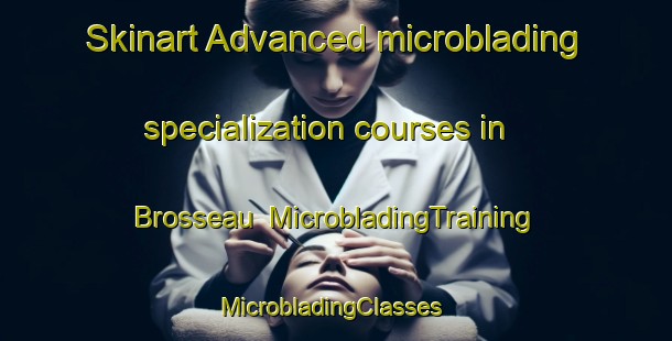Skinart Advanced microblading specialization courses in Brosseau | MicrobladingTraining | MicrobladingClasses | SkinartTraining-Canada