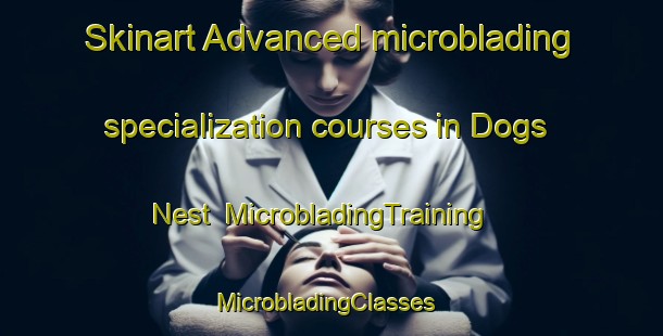 Skinart Advanced microblading specialization courses in Dogs Nest | MicrobladingTraining | MicrobladingClasses | SkinartTraining-Canada