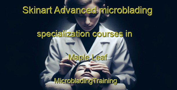 Skinart Advanced microblading specialization courses in Maple Leaf | MicrobladingTraining | MicrobladingClasses | SkinartTraining-Canada