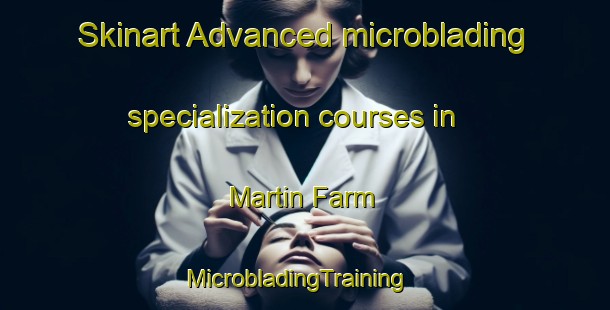 Skinart Advanced microblading specialization courses in Martin Farm | MicrobladingTraining | MicrobladingClasses | SkinartTraining-Canada