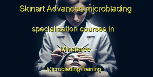 Skinart Advanced microblading specialization courses in Minataree | MicrobladingTraining | MicrobladingClasses | SkinartTraining-Canada