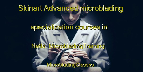 Skinart Advanced microblading specialization courses in Netla | MicrobladingTraining | MicrobladingClasses | SkinartTraining-Canada
