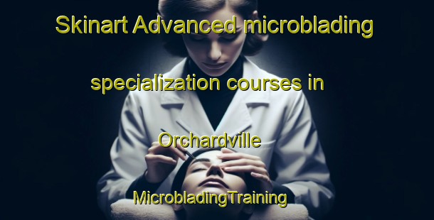Skinart Advanced microblading specialization courses in Orchardville | MicrobladingTraining | MicrobladingClasses | SkinartTraining-Canada