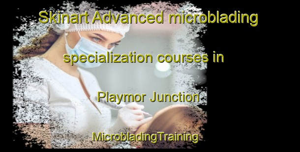Skinart Advanced microblading specialization courses in Playmor Junction | MicrobladingTraining | MicrobladingClasses | SkinartTraining-Canada