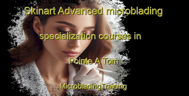 Skinart Advanced microblading specialization courses in Pointe A Tom | #MicrobladingTraining #MicrobladingClasses #SkinartTraining-Canada