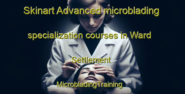 Skinart Advanced microblading specialization courses in Ward Settlement | MicrobladingTraining | MicrobladingClasses | SkinartTraining-Canada