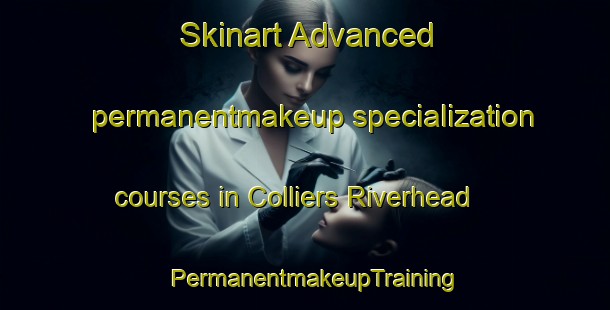 Skinart Advanced permanentmakeup specialization courses in Colliers Riverhead | PermanentmakeupTraining | PermanentmakeupClasses | SkinartTraining-Canada