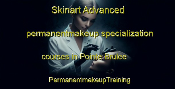 Skinart Advanced permanentmakeup specialization courses in Pointe Brulee | PermanentmakeupTraining | PermanentmakeupClasses | SkinartTraining-Canada