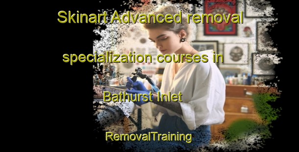 Skinart Advanced removal specialization courses in Bathurst Inlet | RemovalTraining | RemovalClasses | SkinartTraining-Canada