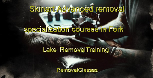 Skinart Advanced removal specialization courses in Fork Lake | RemovalTraining | RemovalClasses | SkinartTraining-Canada