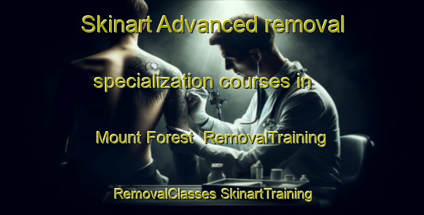 Skinart Advanced removal specialization courses in Mount Forest | #RemovalTraining #RemovalClasses #SkinartTraining-Canada