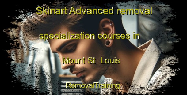 Skinart Advanced removal specialization courses in Mount St  Louis | RemovalTraining | RemovalClasses | SkinartTraining-Canada