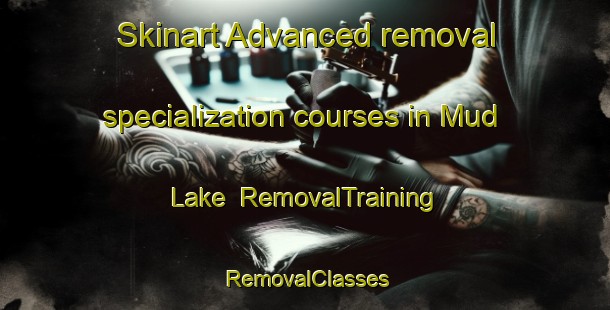 Skinart Advanced removal specialization courses in Mud Lake | RemovalTraining | RemovalClasses | SkinartTraining-Canada