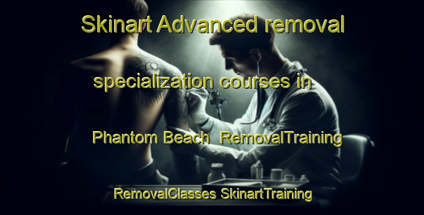 Skinart Advanced removal specialization courses in Phantom Beach | #RemovalTraining #RemovalClasses #SkinartTraining-Canada