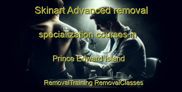 Skinart Advanced removal specialization courses in Prince Edward Island | #RemovalTraining #RemovalClasses #SkinartTraining-Canada