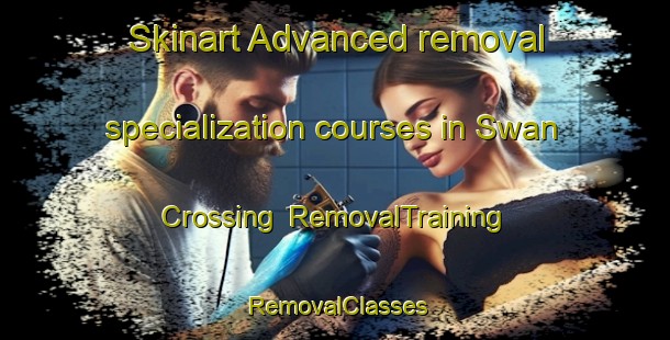 Skinart Advanced removal specialization courses in Swan Crossing | RemovalTraining | RemovalClasses | SkinartTraining-Canada