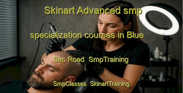 Skinart Advanced smp specialization courses in Blue Sac Road | SmpTraining | SmpClasses | SkinartTraining-Canada