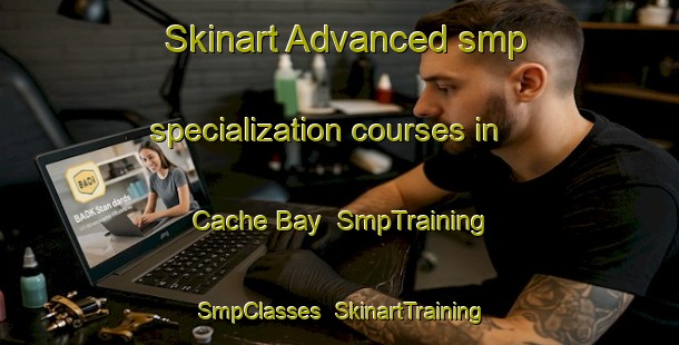 Skinart Advanced smp specialization courses in Cache Bay | SmpTraining | SmpClasses | SkinartTraining-Canada