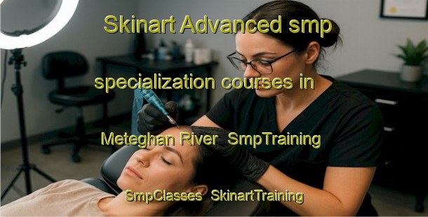 Skinart Advanced smp specialization courses in Meteghan River | SmpTraining | SmpClasses | SkinartTraining-Canada